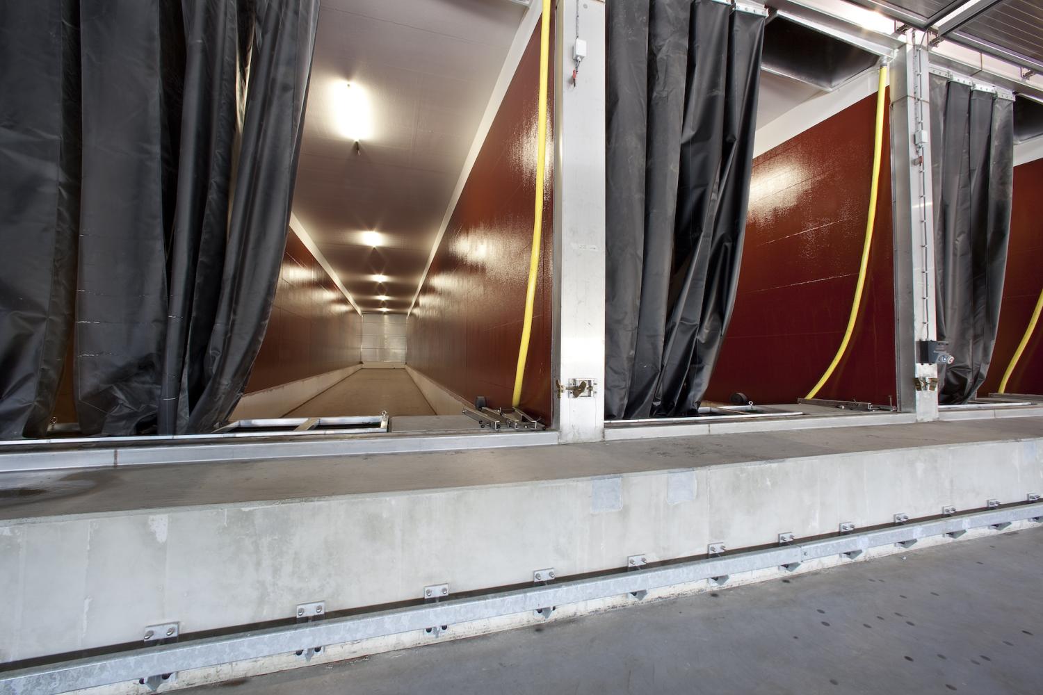 Recubrimiento de células de almacenamiento de bulbos de flores