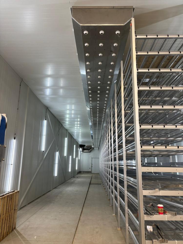 Canadá-Micelio-Rubcoat-Revestimiento-de-Goma