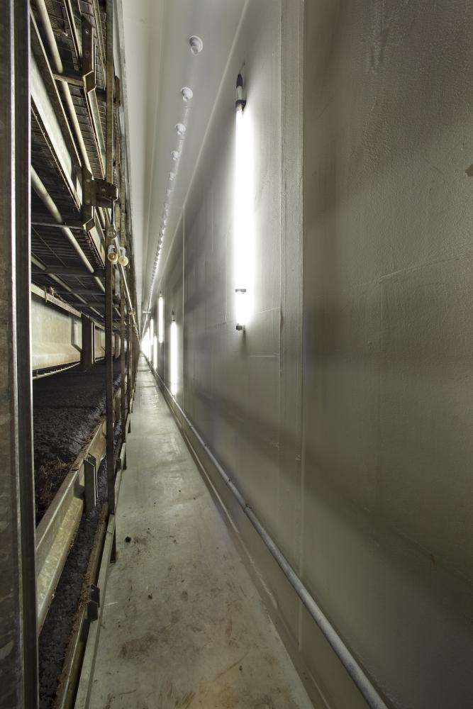 Tunnel coating renovation