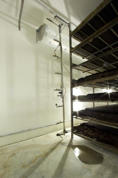 Rubcoat en imágenes