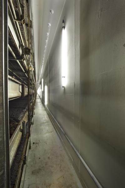 Rubcoat en imágenes