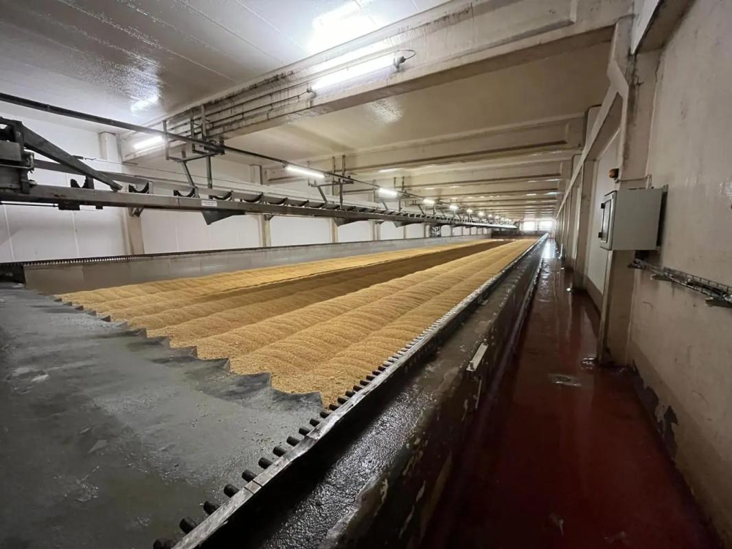 Tratamiento Exitoso de Salas de Germinación